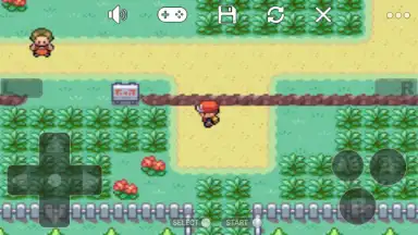 Pokemon Collection скриншот 1
