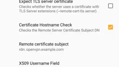 OpenVPN скриншот 19