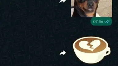 WhatsApp Messenger скриншот 12