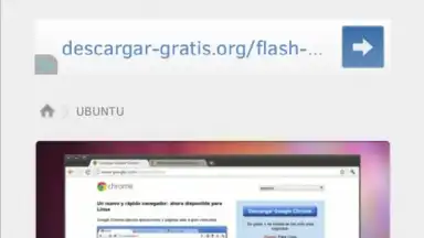 FlashFox - Flash Browser скриншот 2
