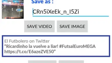 Video Downloader for Twitter скриншот 5