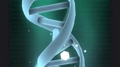 Wallpaper Engine скриншот 5