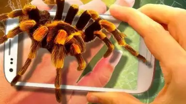 Паук в Камере Пранк скриншот 2