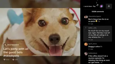 TikTok for Android TV скриншот 3