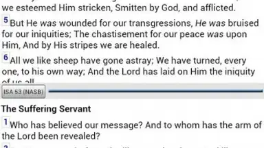 Live Bible скриншот 3