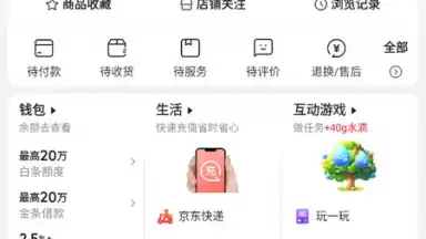 Jingdong скриншот 7