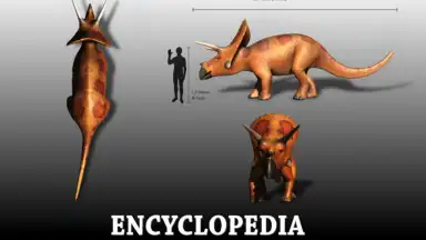 Dinopedia скриншот 4