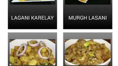 Chef Rida Pakistani Recipes скриншот 3