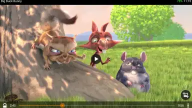 VLC скриншот 6