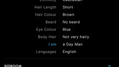 ROMEO скриншот 6