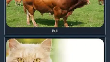 Bluebird Russian скриншот 4