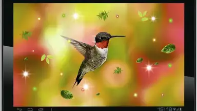 Colibri Spring 3D LWP скриншот 4