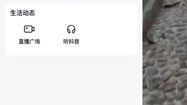 Douyin Search скриншот 4