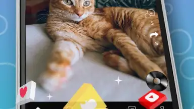 Dancesy скриншот 3