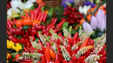 Camera Connect скриншот 2