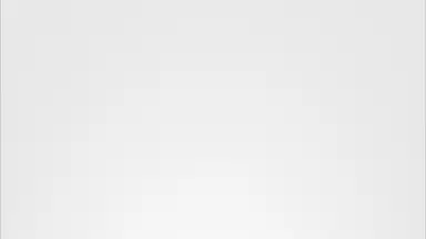 Infobus скриншот 2