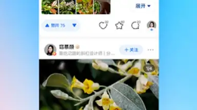 Zhihu скриншот 7