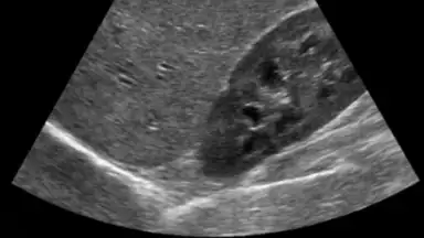 Scanner X-ray скриншот 3