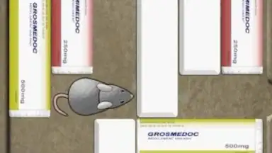 Mouse Trap скриншот 2