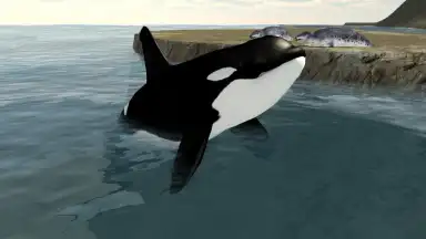 Orca Simulator скриншот 6