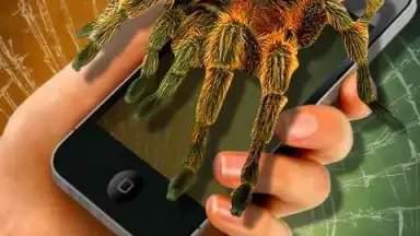 Паук в Камере Пранк скриншот 1