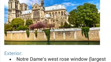 Microsoft OneNote скриншот 2