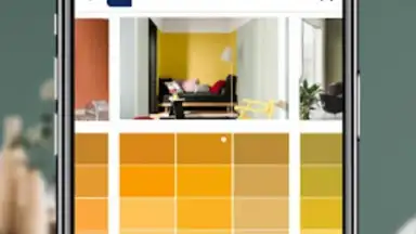 Dulux Visualizer IN скриншот 4