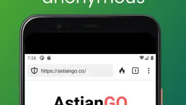 Midori Browser скриншот 3