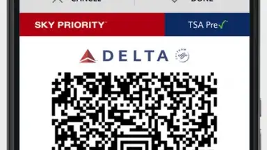 Fly Delta скриншот 3