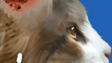 Cat ASMR: Salon Makeover скриншот 6