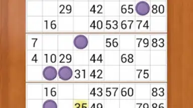 Loto Online скриншот 1