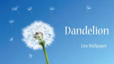 Dandelion скриншот 4