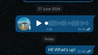 WhatsApp Business скриншот 10