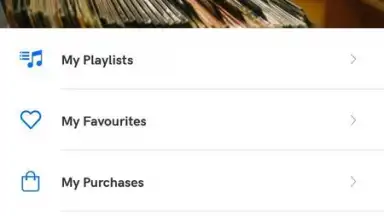 Qobuz скриншот 4