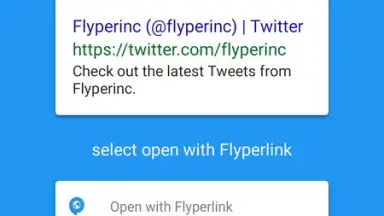 Flyperlink скриншот 8