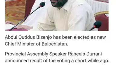 Pak Browser скриншот 3