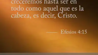 Biblia Diaria скриншот 2