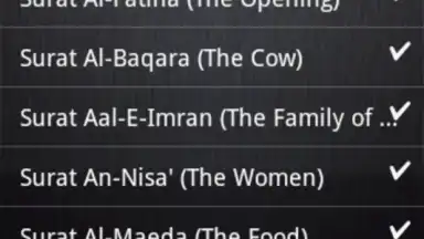 BanglaQuran скриншот 3