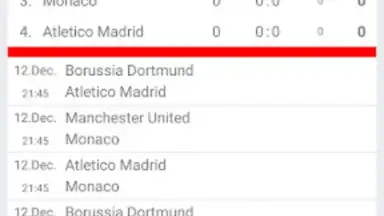 Tournament Manager скриншот 1