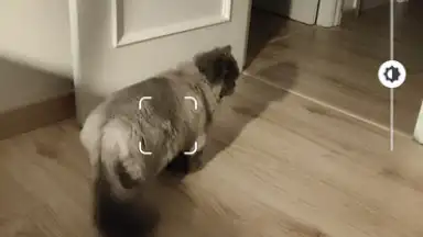 Camera Go скриншот 3