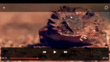 Youtube Play&Download скриншот 5