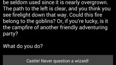 Medieval Fantasy RPG скриншот 8