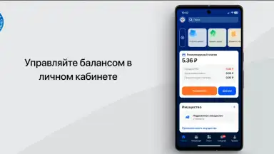 Налоги ФЛ скриншот 2