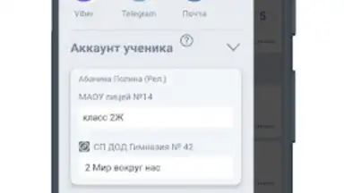 NetSchool скриншот 8