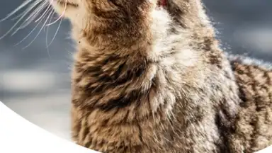 Zooplus: Online pet shop скриншот 2