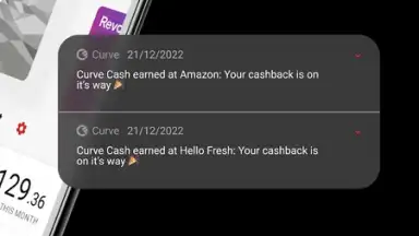 Curve скриншот 8