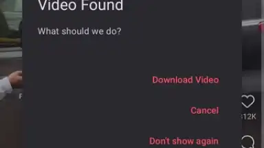 VidMad Video Downloader скриншот 2