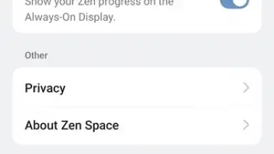 Zen Space скриншот 13