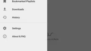 NewPipe скриншот 8