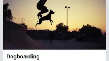 AVD Android Video Downloader скриншот 3